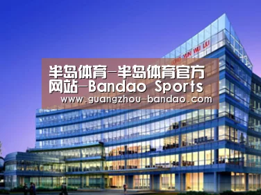 案例展示五(图1)