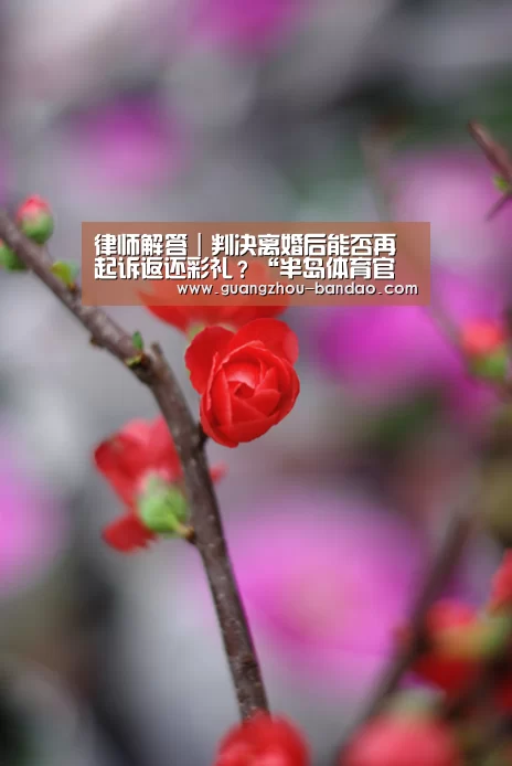 律师解答|判决离婚后能否再起诉返还彩礼?“半岛体育官网”(图2) 半岛体育官网
