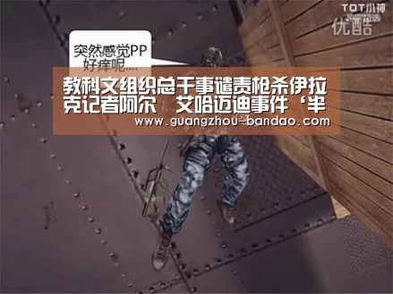 半岛app
