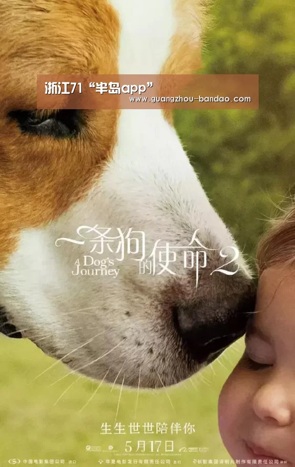 浙江71“半岛app”(图3) 半岛app